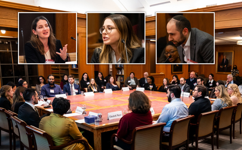 Roundtable Health Fellows